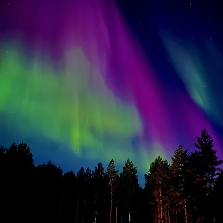 Visit Lapelland - Riverside Village With A Nature View, Fireplace, Sauna, Kitchen * Äkäslompolo