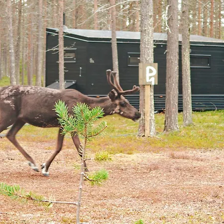 샬레 Visit Lapelland - Riverside Village With A Nature View, Fireplace, Sauna, Kitchen Äkäslompolo