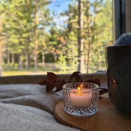 Visit Lapelland - Riverside Village With A Nature View, Fireplace, Sauna, Kitchen * Äkäslompolo